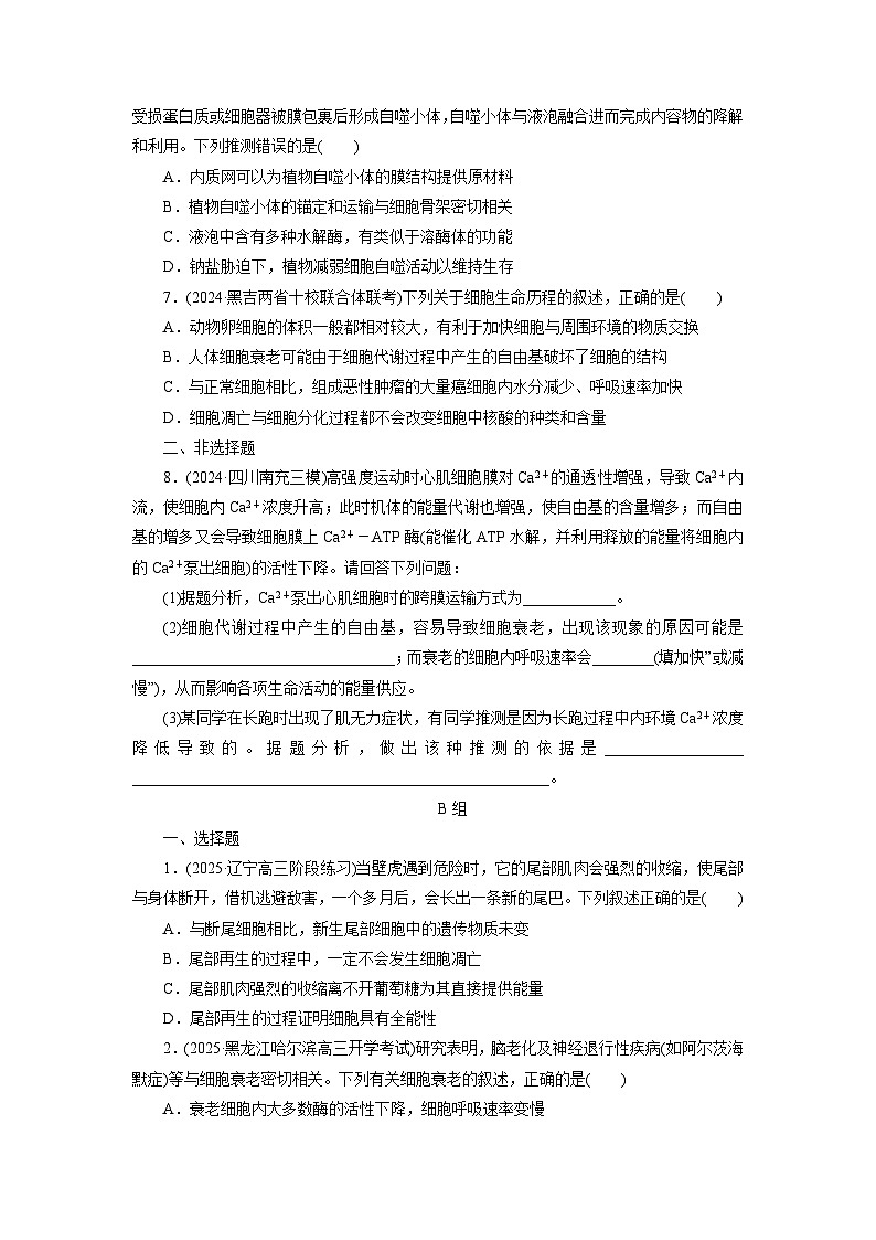 2026届高考生物一轮总复习提能训练练案17细胞的分化衰老和死亡第2页