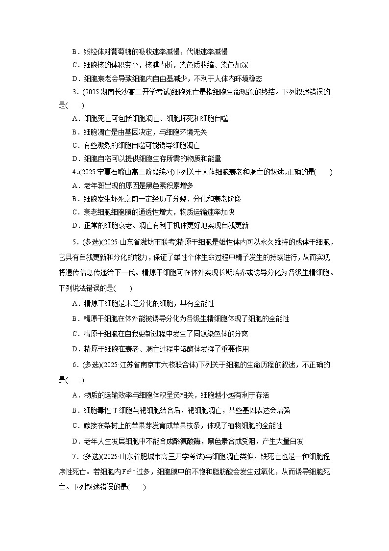 2026届高考生物一轮总复习提能训练练案17细胞的分化衰老和死亡第3页