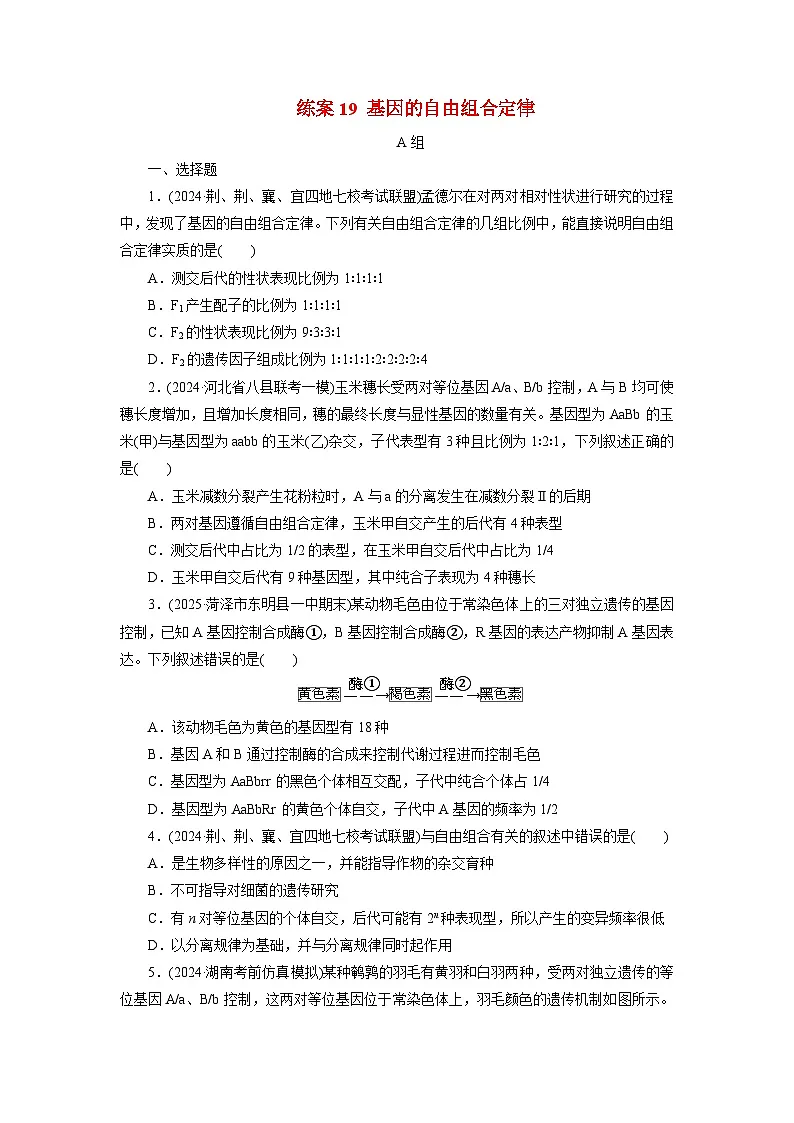 2026届高考生物一轮总复习提能训练练案19基因的自由组合定律第1页