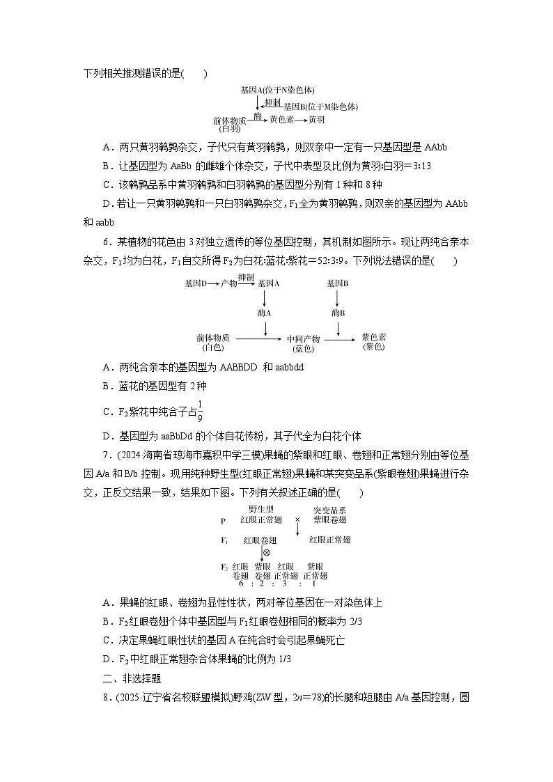 2026届高考生物一轮总复习提能训练练案19基因的自由组合定律第2页