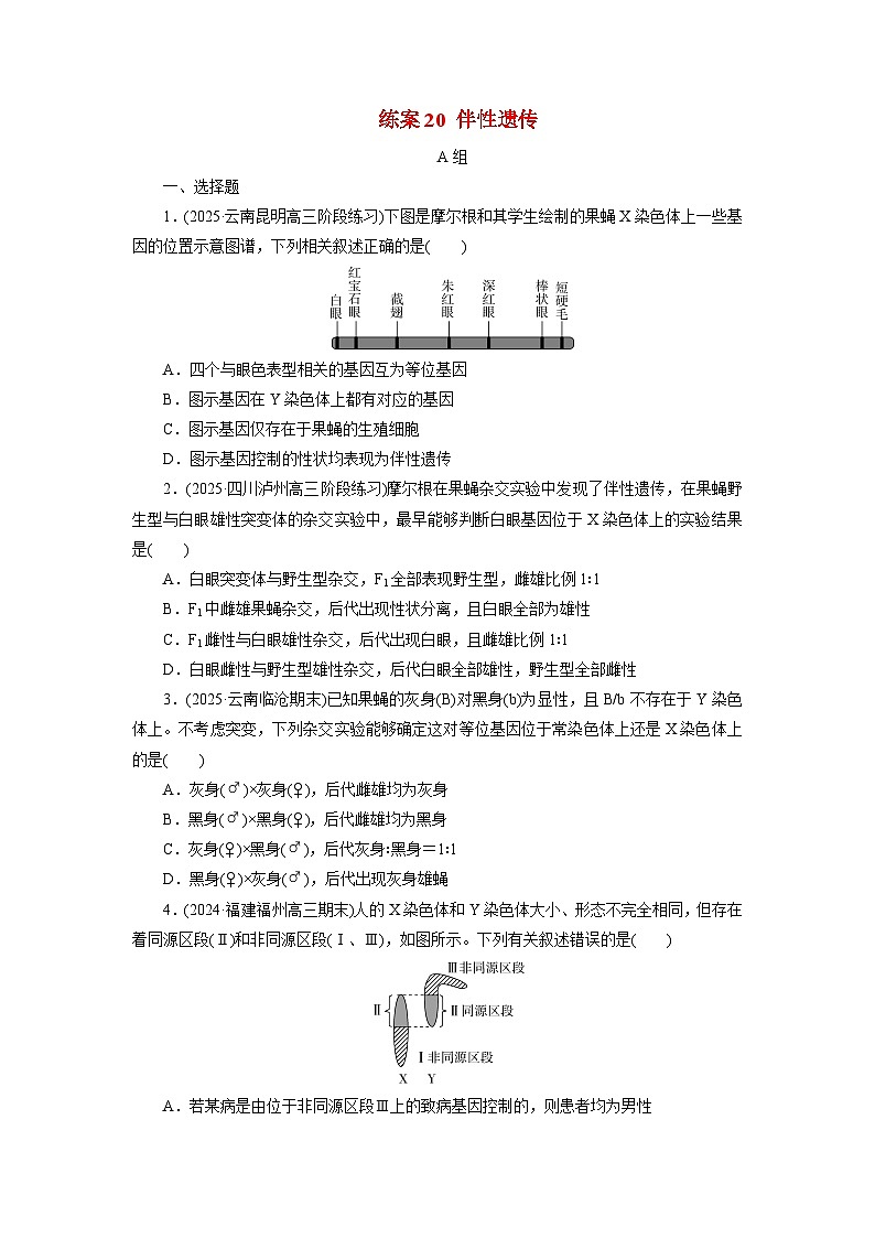 2026届高考生物一轮总复习提能训练练案20伴性遗传第1页
