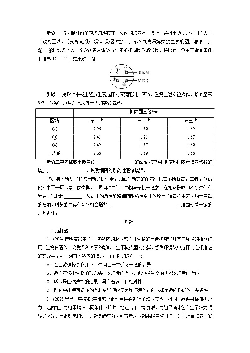 2026届高考生物一轮总复习提能训练练案27生物的进化第3页