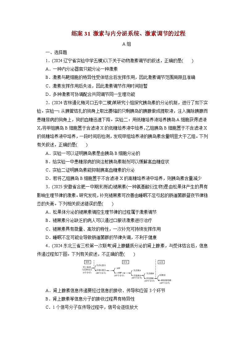 2026届高考生物一轮总复习提能训练练案31激素与内分泌系统激素调节的过程第1页