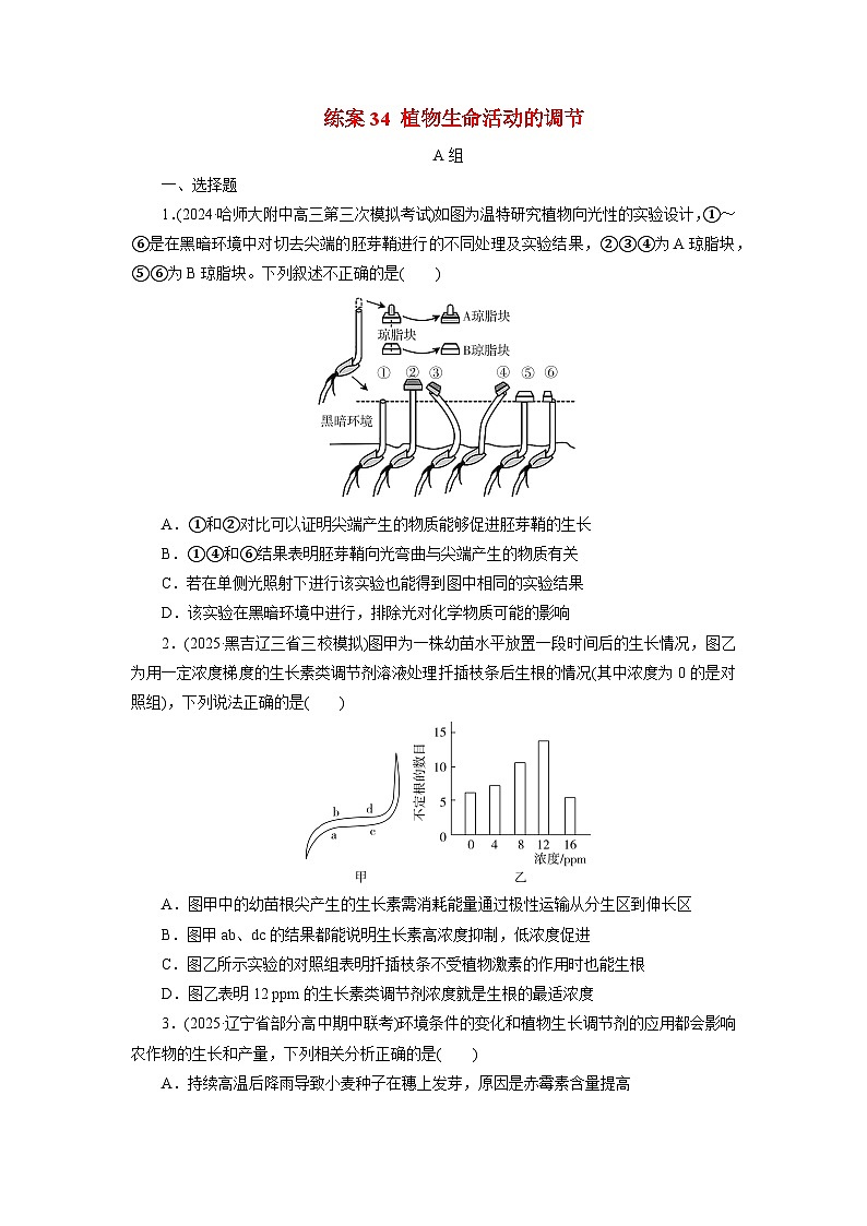 2026届高考生物一轮总复习提能训练练案34植物生命活动的调节第1页