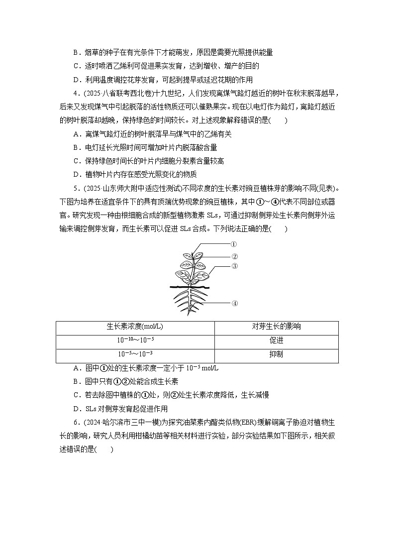 2026届高考生物一轮总复习提能训练练案34植物生命活动的调节第2页