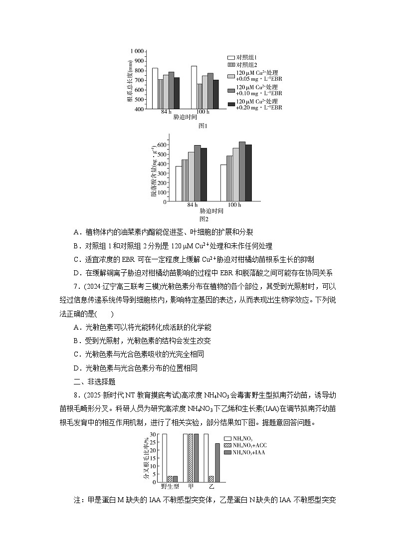 2026届高考生物一轮总复习提能训练练案34植物生命活动的调节第3页