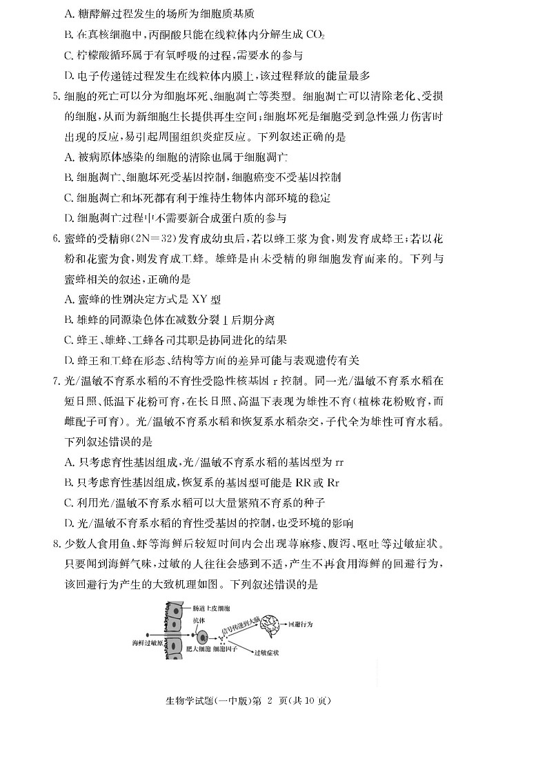 炎德·英才大联考长沙市一中 2025 届高三下学期月考试卷（六）生物试卷（学生版）第2页