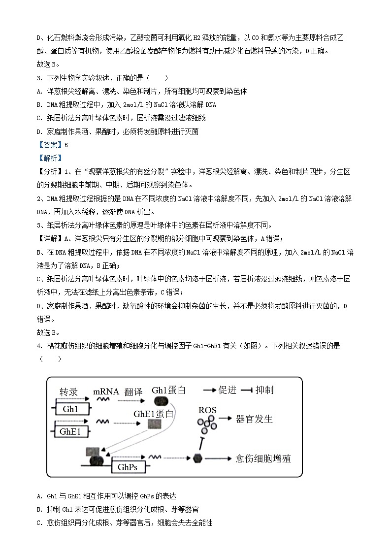 北京市延庆区2024_2025学年高三生物上学期12月月考试卷含解析第2页
