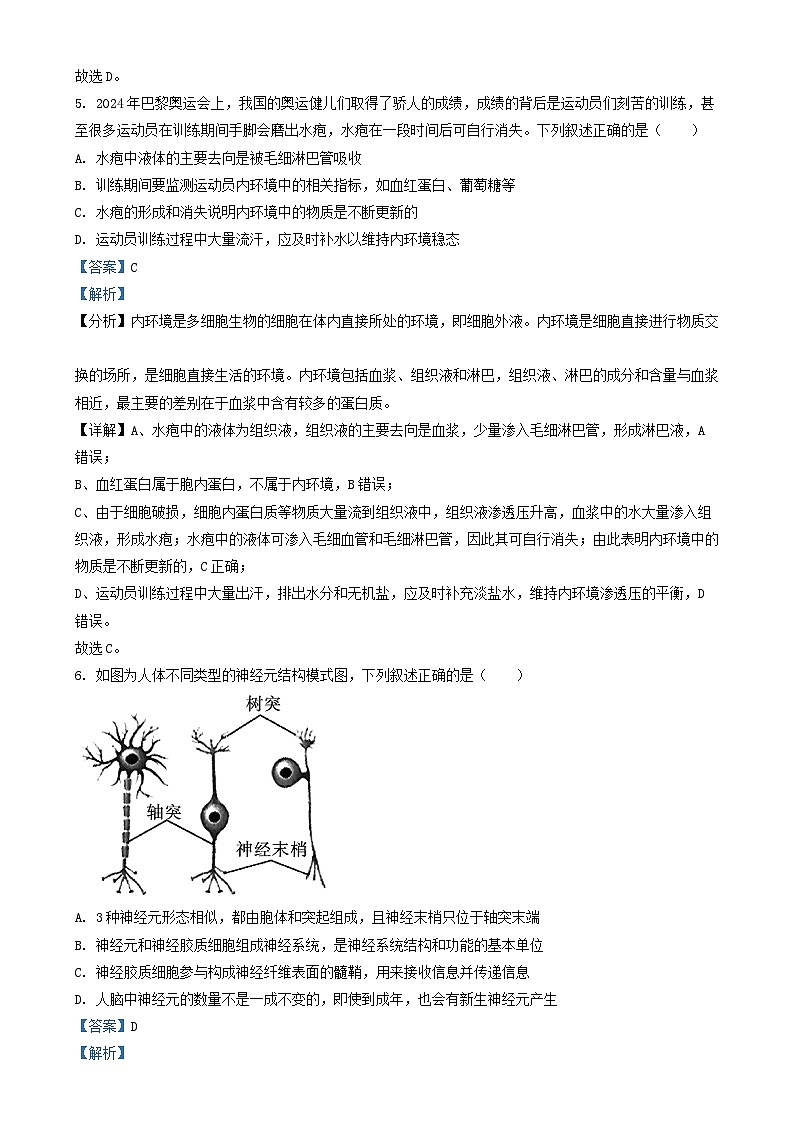 四川省2024_2025学年高二生物上学期第一次月考试题含解析第3页