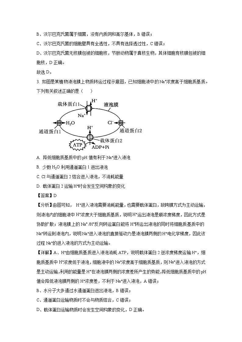 河南省部分学校2025届高三下5月全真模拟生物试卷（解析版）第2页