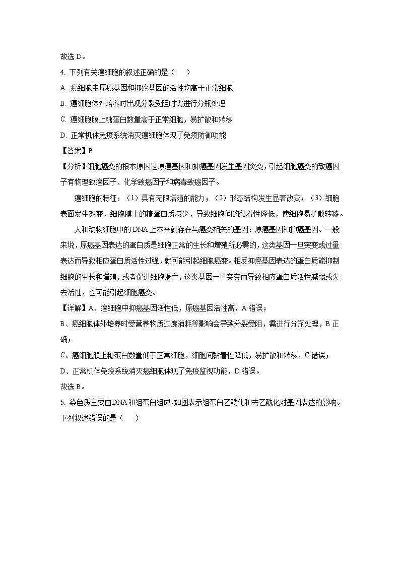 河南省部分学校2025届高三下5月全真模拟生物试卷（解析版）第3页