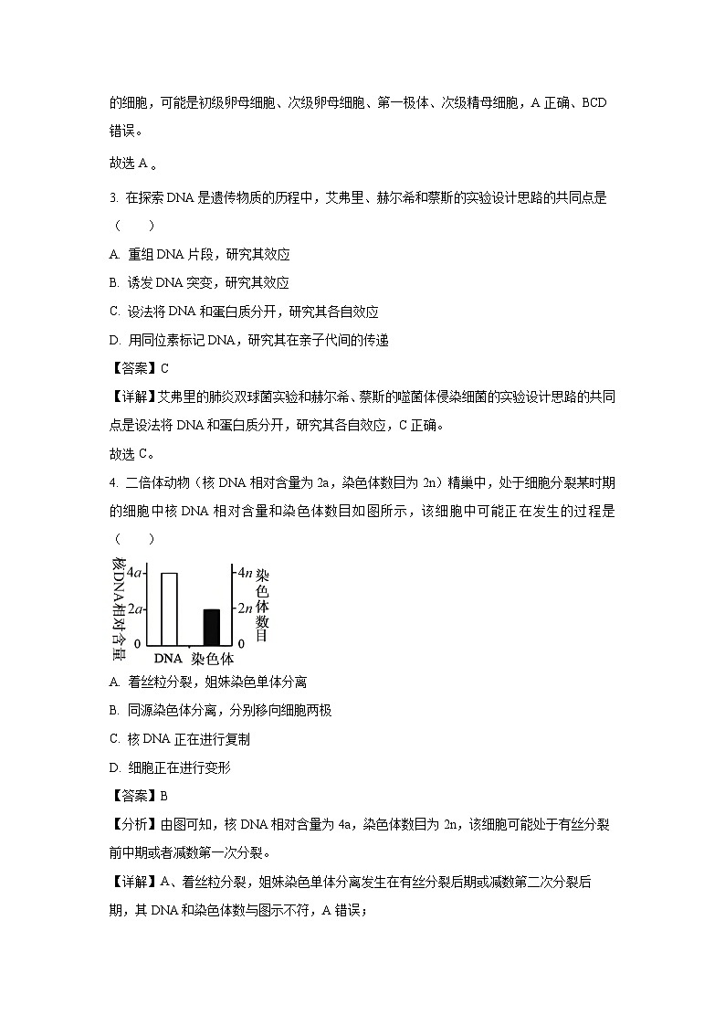 湖南省联考2024-2025学年高一下学期5月月考学生物试卷（解析版）第2页