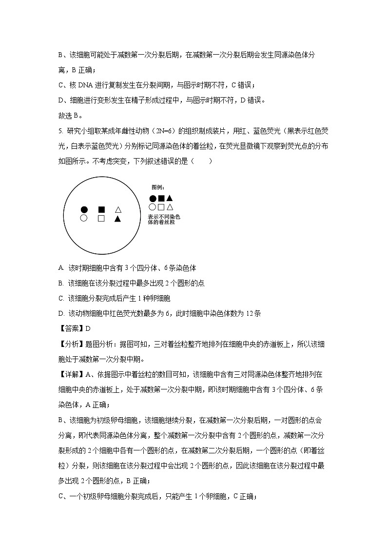 湖南省联考2024-2025学年高一下学期5月月考学生物试卷（解析版）第3页