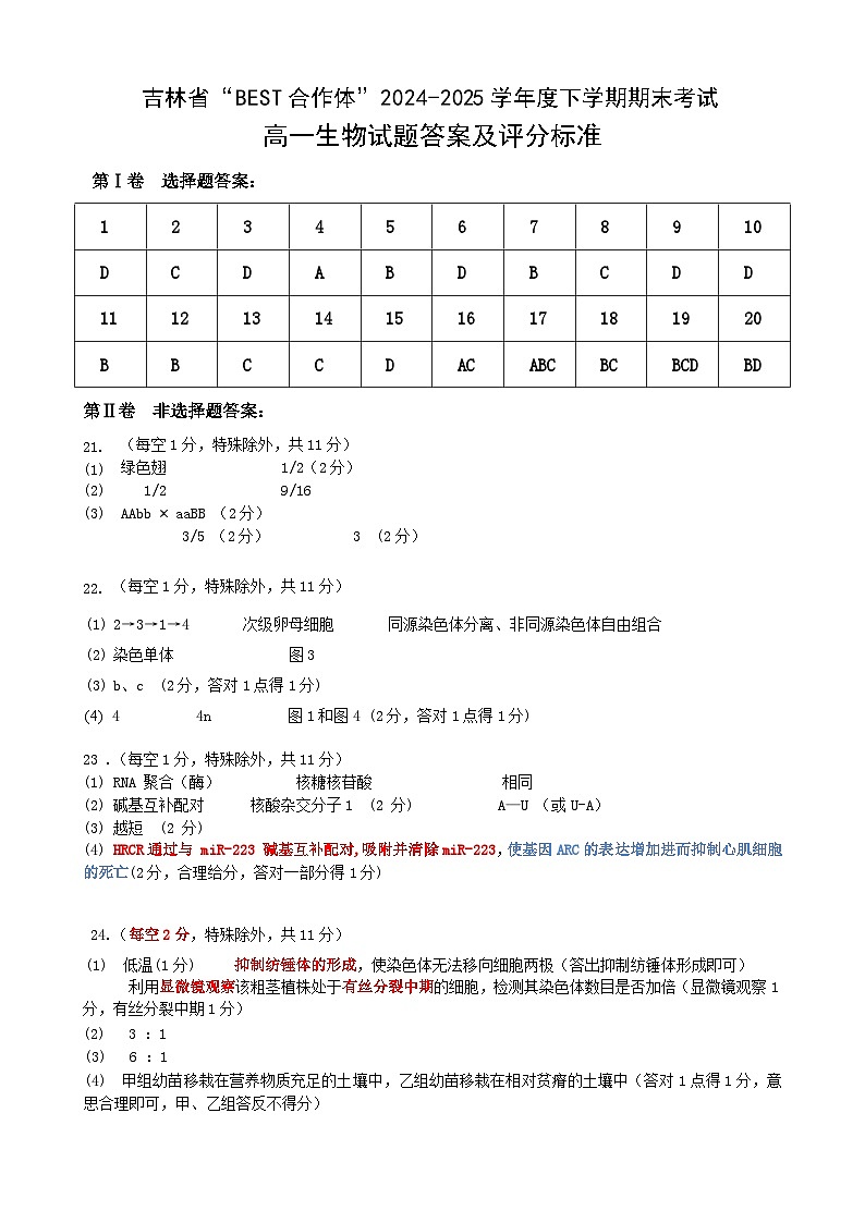 “BEST合作体”2024-2025学年度下学期期末考试高一生物答案及评分标准第1页
