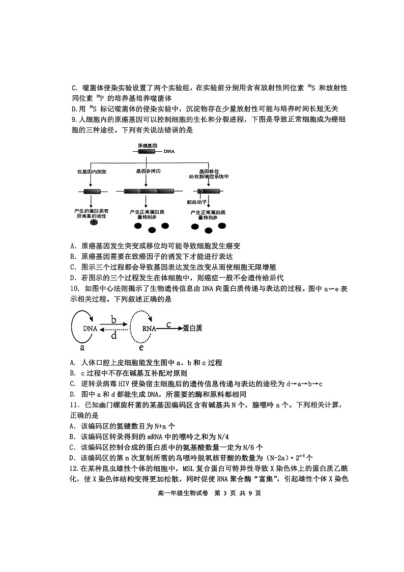 辽宁省沈阳市五校协作体2024-2025学年高一下学期期末考试生物试卷（图片版）第3页