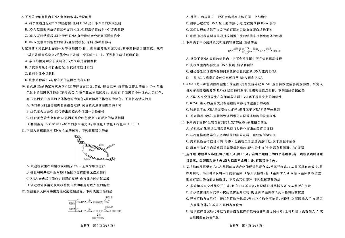 辽宁省县域重点高中2024-2025学年高一下学期期末考试生物试卷（图片版，有解析）第2页