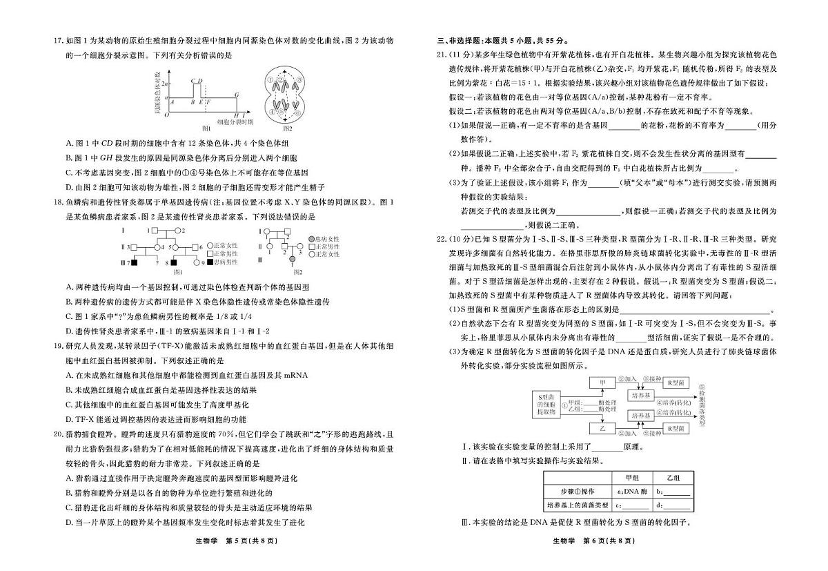 辽宁省县域重点高中2024-2025学年高一下学期期末考试生物试卷（图片版，有解析）第3页