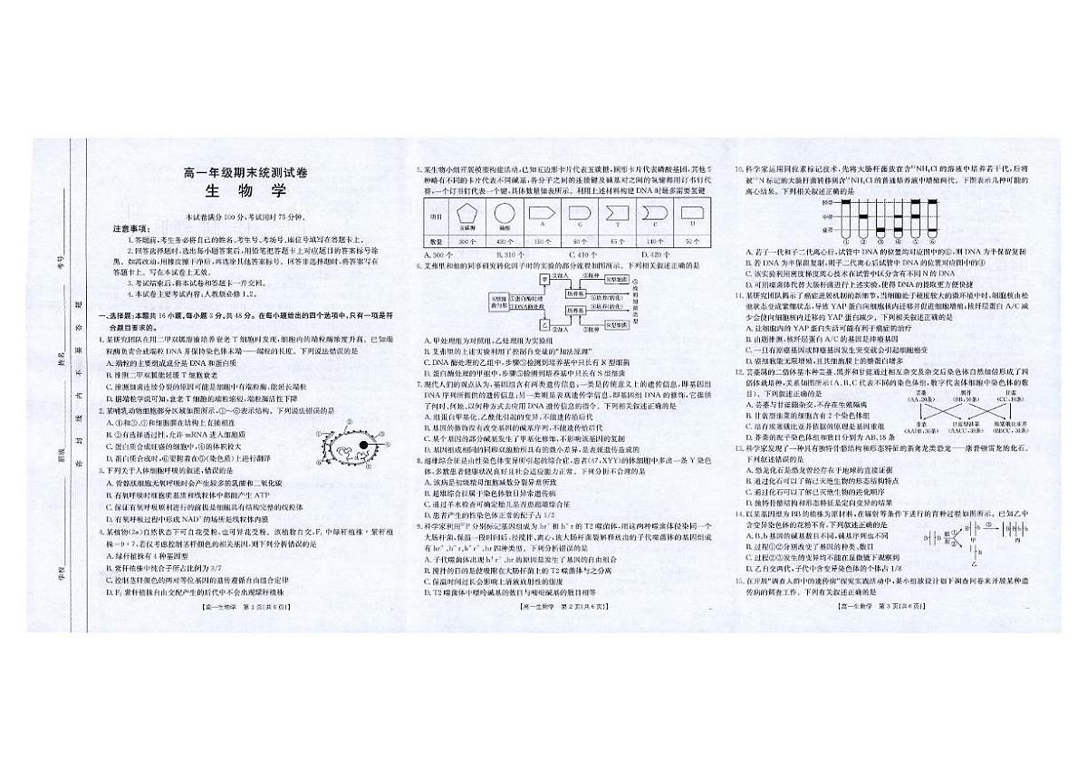 云南省临沧市部分学校2024-2025学年高一下学期期末质量测试生物试题（图片版，无答案）第1页
