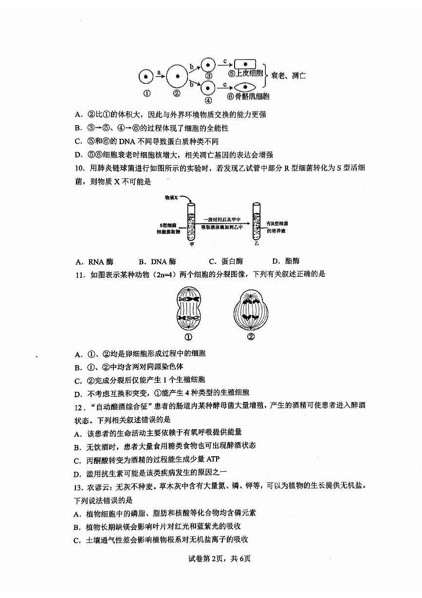 生物试卷.pdf第2页