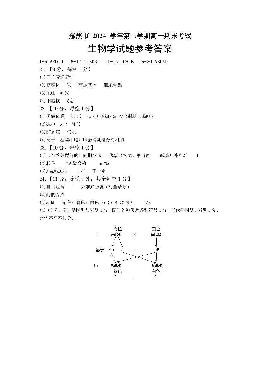 生物答案.pdf第1页