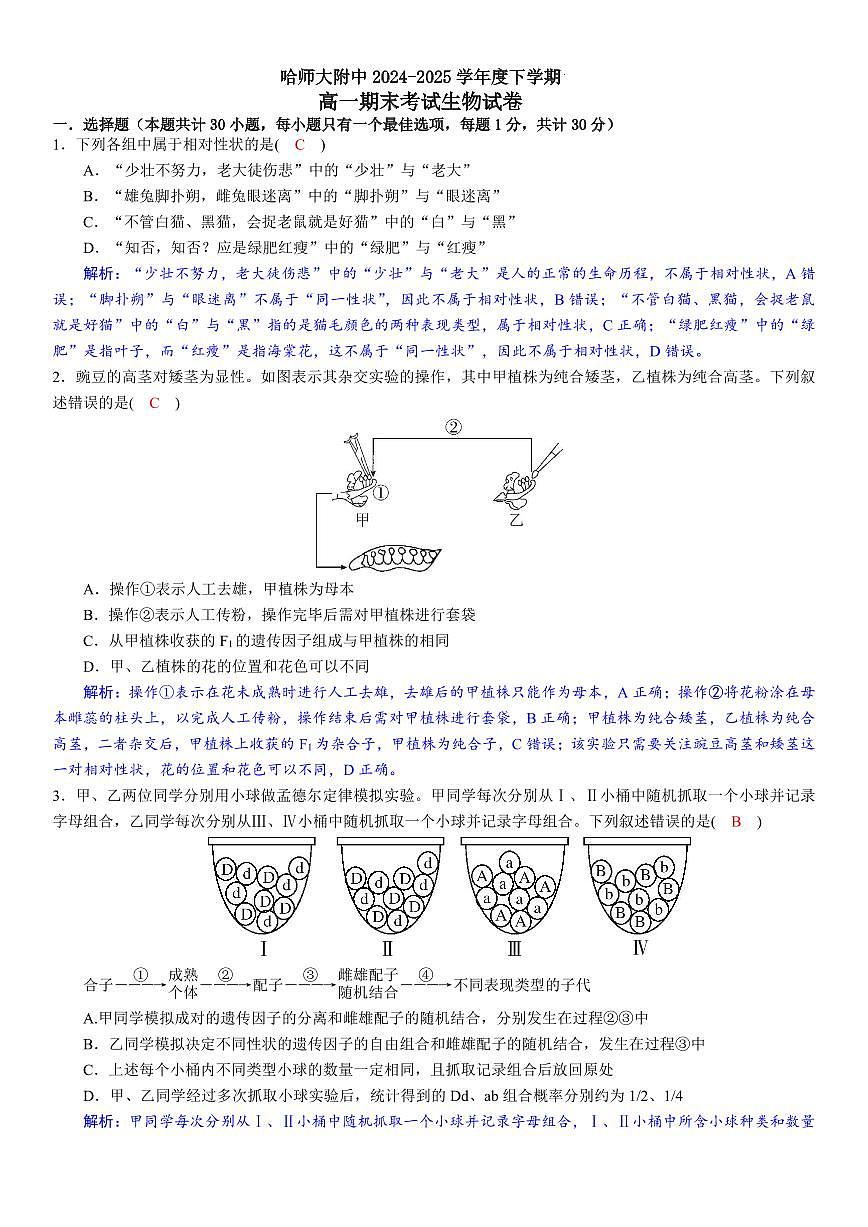哈师大附中2024~2025学年度下学期高一期末考试生物答案第1页