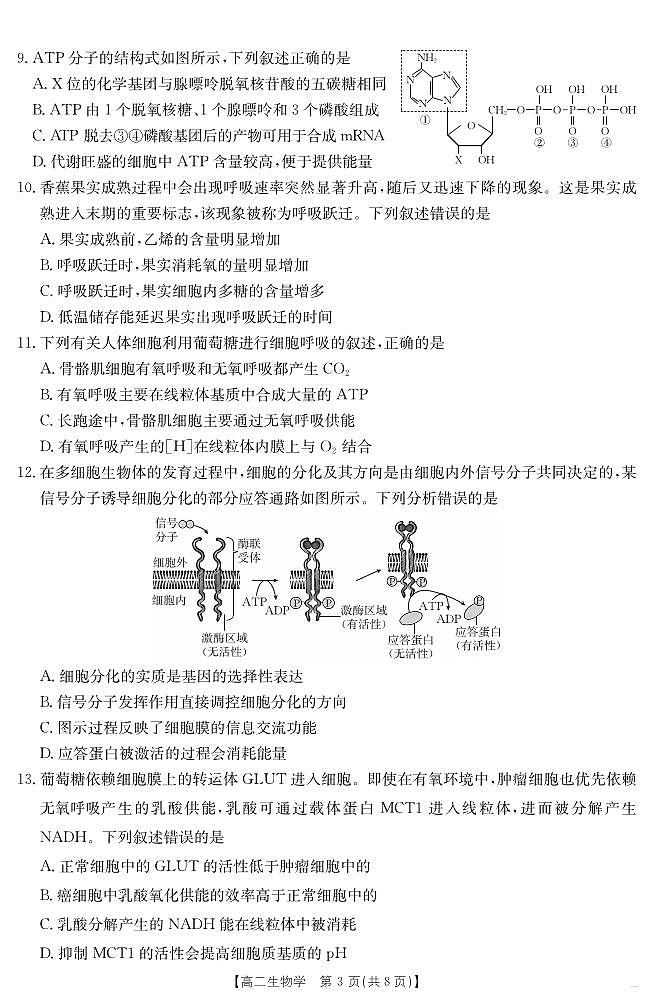 河北省2024-2025学年高二下学期7月联考 生物第3页