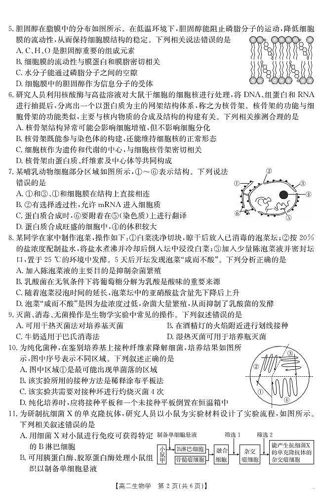 山西省2024-2025学年高二下学期期末考试 生物第2页