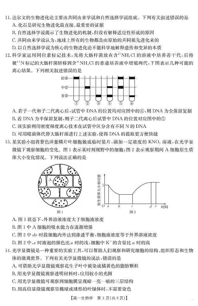 山西省2024-2025学年高一下学期期末考试 生物第3页