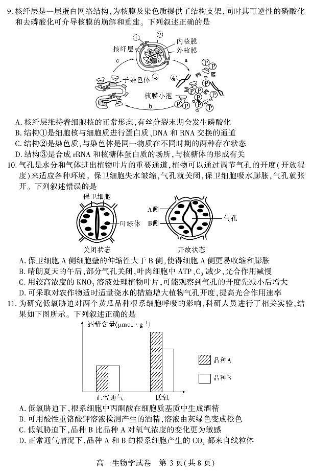 高一生物学第3页