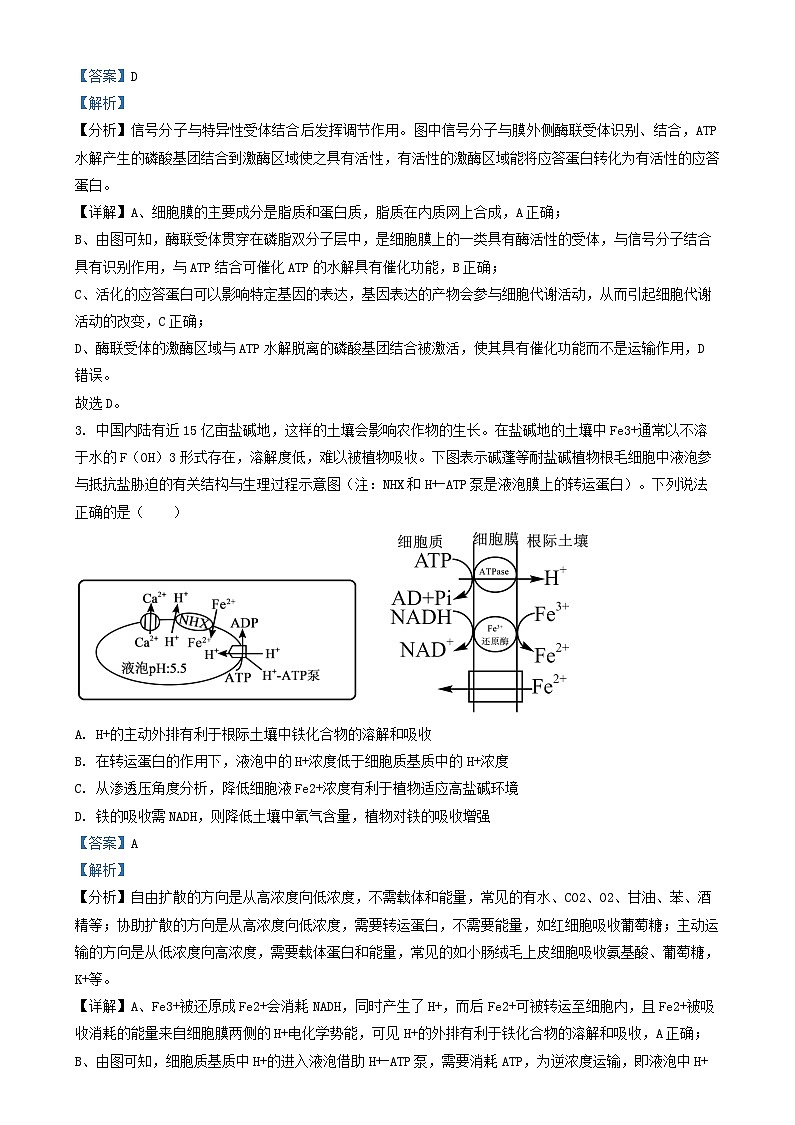 安徽省2024_2025学年高三生物上学期12月联考试题含解析第2页