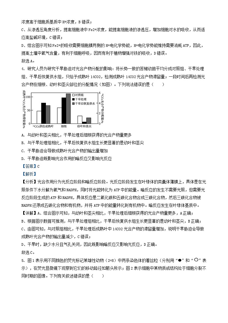 安徽省2024_2025学年高三生物上学期12月联考试题含解析第3页