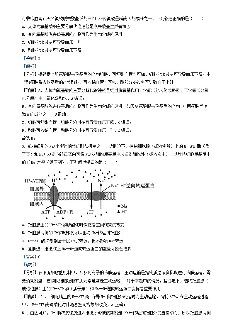 安徽省合肥市2024_2025学年高三生物上学期11月月考试题含解析第3页