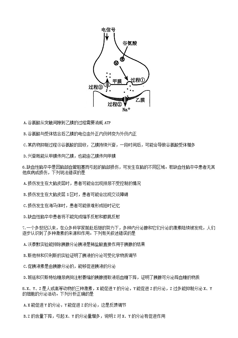 河南省郑州市2024_2025学年高二生物上学期期末考试第3页