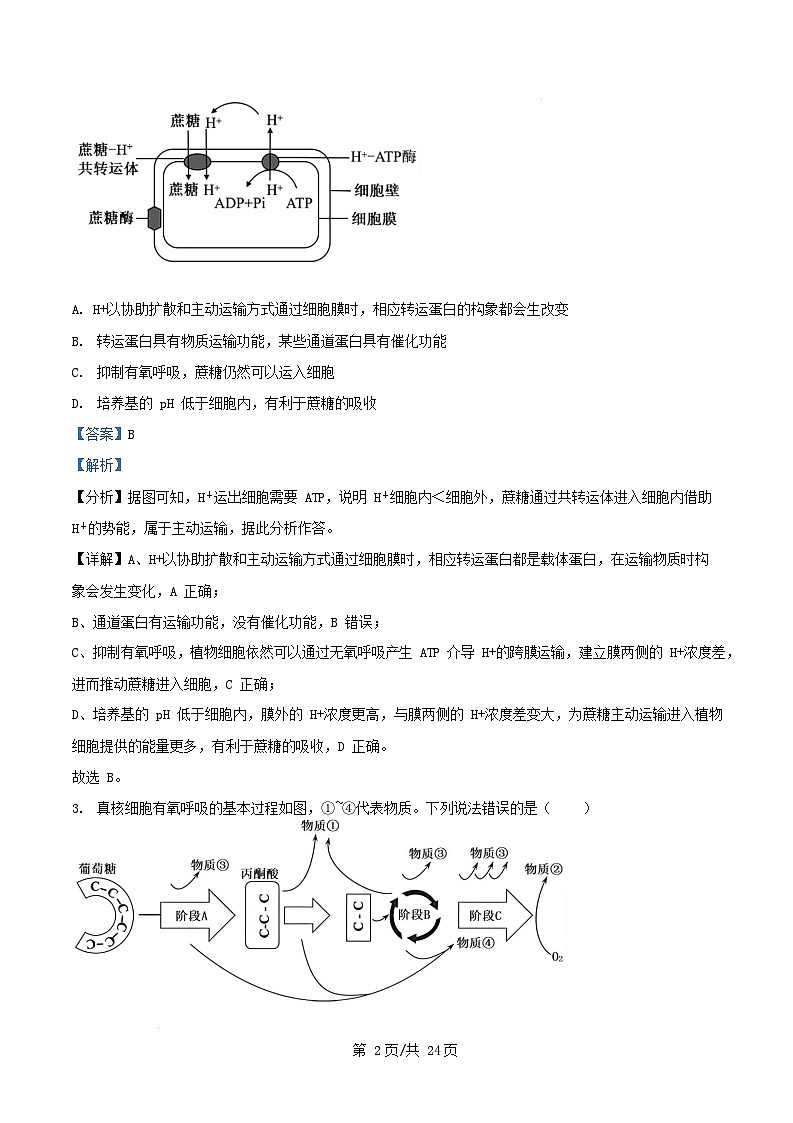 山东省菏泽市2024_2025学年高三生物上学期生物期末考试试题含解析第2页
