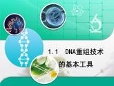 高中生物人教版（新課標(biāo)）選修3 專題1 1-1.1《DNA重組技術(shù)的基本工具》復(fù)習(xí)課件