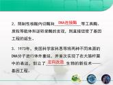 高中生物人教版（新課標(biāo)）選修3 專題1 1-1.1《DNA重組技術(shù)的基本工具》復(fù)習(xí)課件