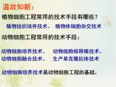 人教版 (新課標(biāo))高中生物選修3 2.2.1《動(dòng)物細(xì)胞培養(yǎng)和核移植技術(shù)》課件