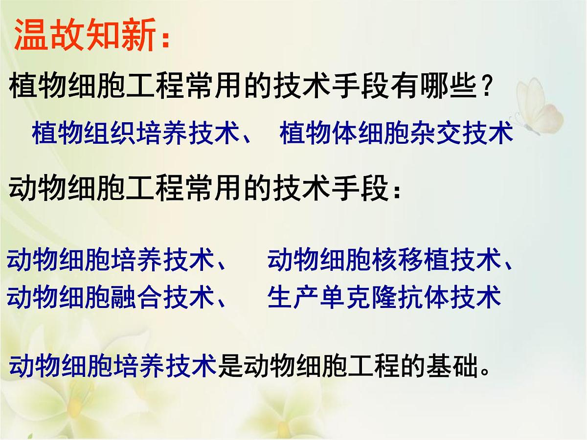 人教版 (新课标)高中生物选修3 2.2.1《动物细胞培养和核移植技术》课件第2页