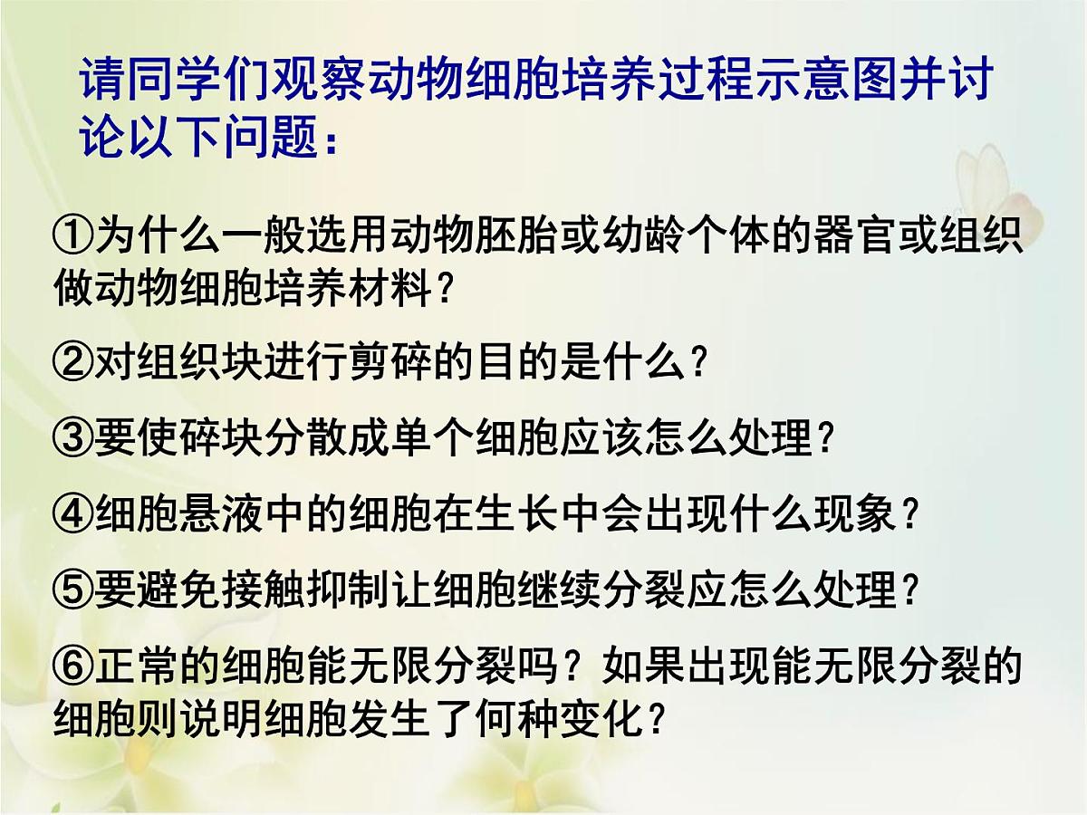 人教版 (新课标)高中生物选修3 2.2.1《动物细胞培养和核移植技术》课件第5页