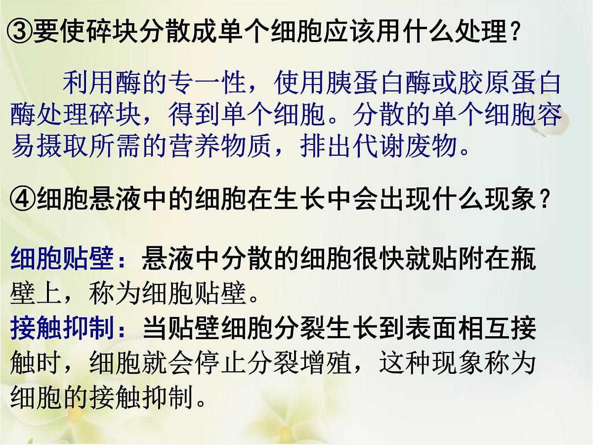 人教版 (新课标)高中生物选修3 2.2.1《动物细胞培养和核移植技术》课件第7页