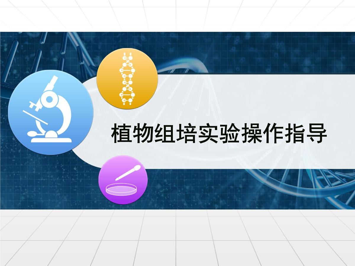 人教版 (新课标)高中生物选修3 2.1.2《植物组培实验操作指导》探究课件第1页