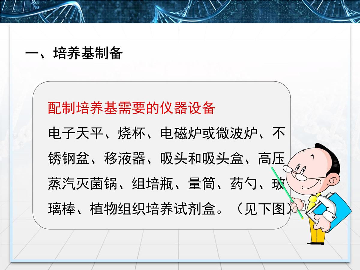 人教版 (新课标)高中生物选修3 2.1.2《植物组培实验操作指导》探究课件第2页