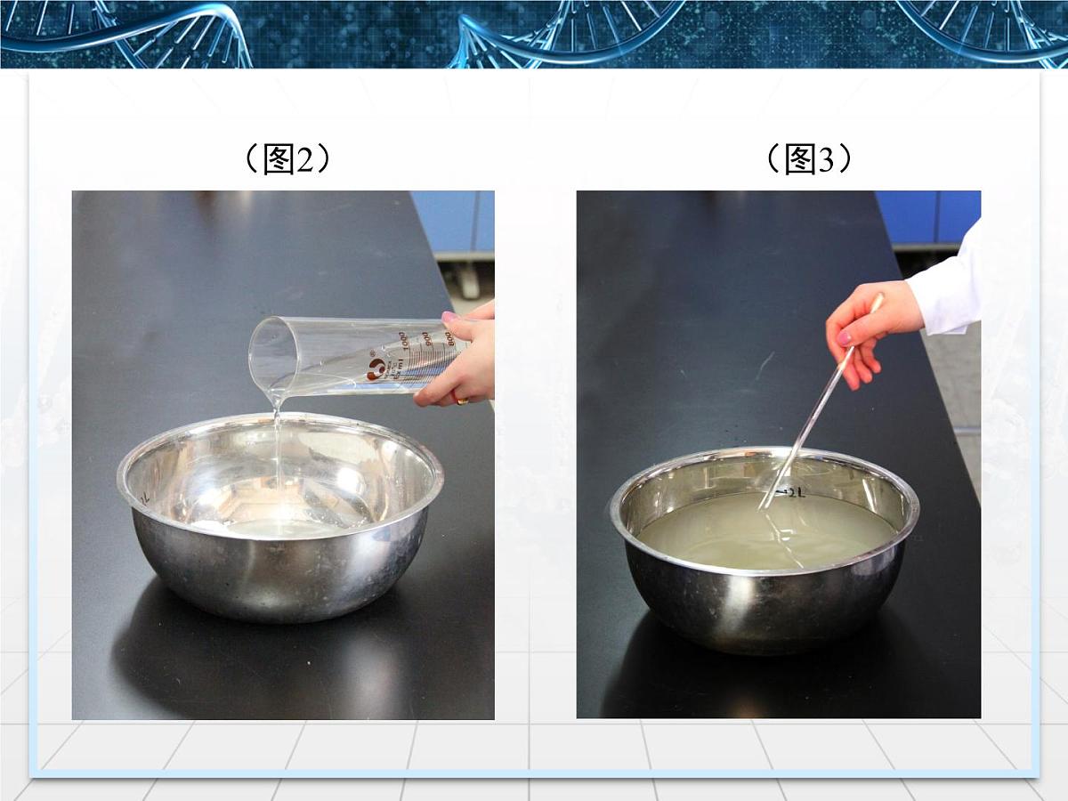人教版 (新课标)高中生物选修3 2.1.2《植物组培实验操作指导》探究课件第5页
