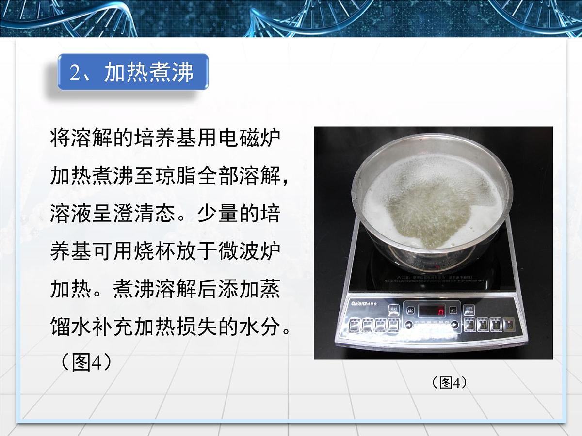 人教版 (新课标)高中生物选修3 2.1.2《植物组培实验操作指导》探究课件第6页