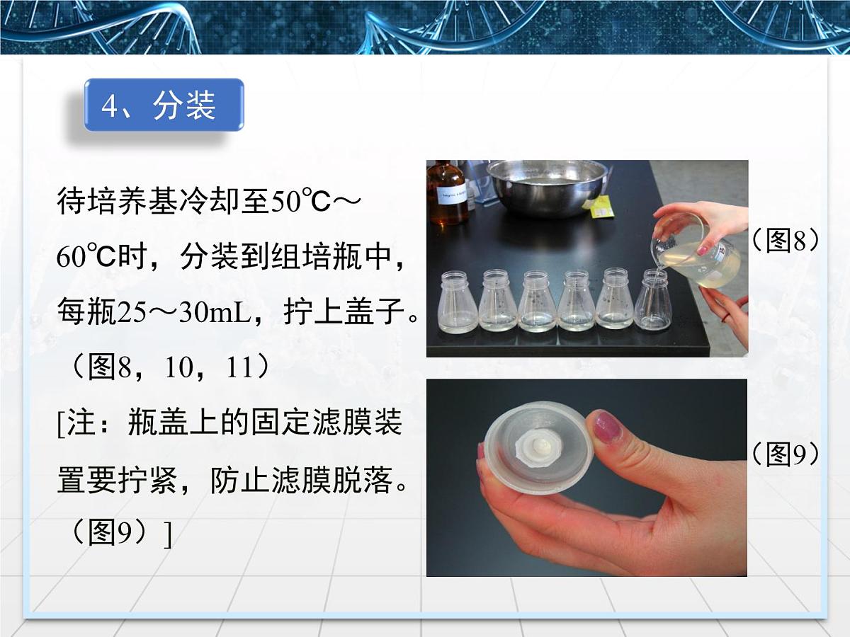人教版 (新课标)高中生物选修3 2.1.2《植物组培实验操作指导》探究课件第8页
