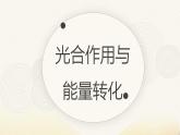 人教版高中生物必修1 5-4《光合作用与能量转化（第2课时）》课件