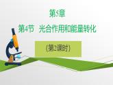 人教版高中生物必修1 5-4《光合作用与能量转化》第2课时 教学课件