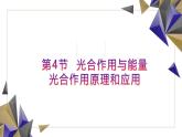人教版高中生物必修1 5-4《 光合作用与能量转化》第2课时课件