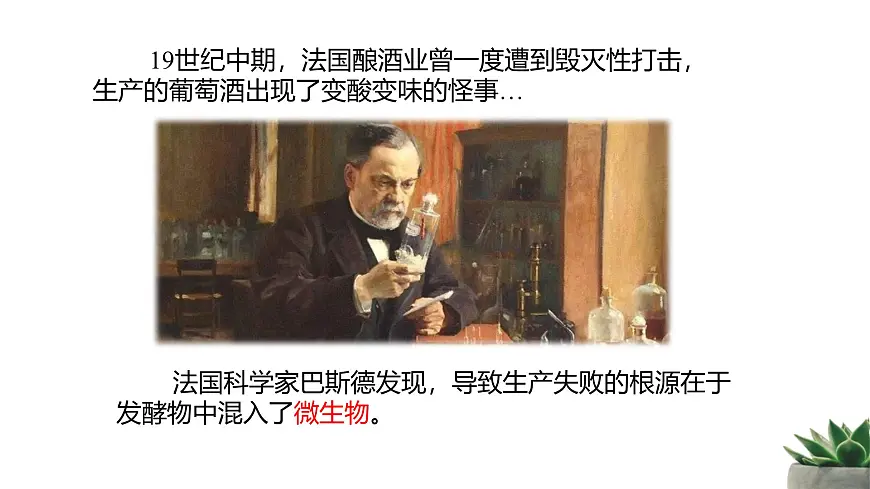 人教版高中生物选修3 1-2《微生物的培养技术及应用》第1课时 教学课件第3页