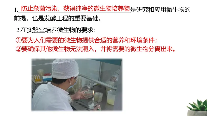 人教版高中生物选修3 1-2《微生物的培养技术及应用》第1课时 教学课件第5页